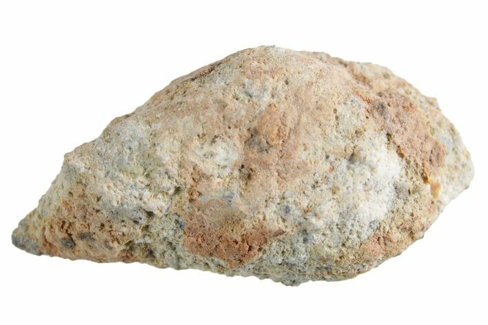 Lunar Meteorite ( g) - Bechar #360386